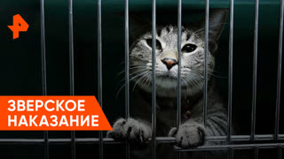 «Загадки человечества»: зверское наказание