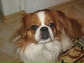 Фотография Кисткиной Юлии