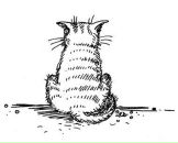 Фотография Гладкова Александра