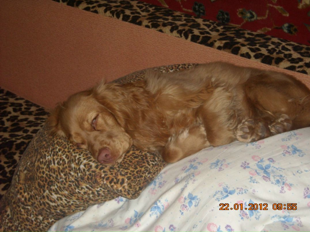 Игорь Горох фотография #8