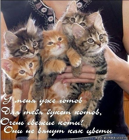 №15, Елена Аблова №15, Елена Аблова