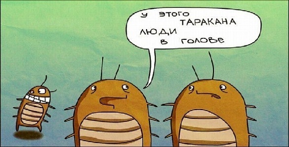 №10, Наталья Дербишир, 35 лет, Москва №10, Наталья Дербишир, 35 лет, Москва
