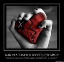 Вікочка Шелемба фотография #26 (источник - https://vk.com/id70260429)