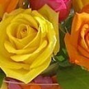 Саша Фаєвський фотография #5 (источник - https://vk.com/id57715861)