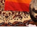 Сергій Стасюк фотография #20 (источник - https://vk.com/id154474535)