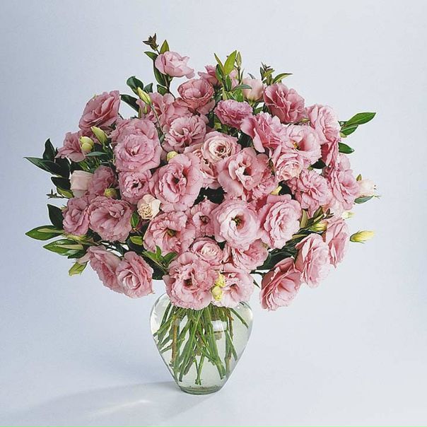 Оля Коватева фото №27