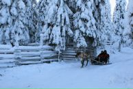 Анна Маркина фотография #46 (источник - https://vk.com/id1434636)