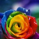 Іра Монастирецька фотография #35 (источник - https://vk.com/id160057589)