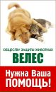 Фотография Гибовой Наталии