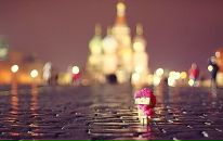 Фотография Свиридова Алексея