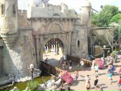 Sergiu Zagoret фотография #32 (источник - https://vk.com/id59352232)