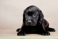 Софья Артюх фотография #6 (источник - https://vk.com/id462645)