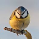 Фотография Елисеевой Миры