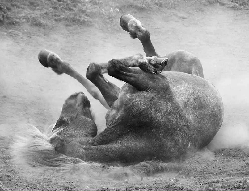 Dr Abramov фотография #10