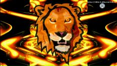 Фотография Топтыгина Михаила