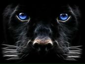 Андрій Криштофор фотография #7 (источник - https://vk.com/id31779246)