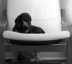 Анна Label фотография #32 (источник - https://vk.com/id1662798)