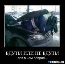 Коля Пасічник фотография #44 (источник - https://vk.com/id11779947)