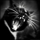 Фотография Белкова Юрия