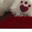 Наталі Войнова-Яковишина фотография #2 (источник - https://vk.com/id30739559)