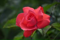 Dmitry Tolstenko фотография #29 (источник - https://vk.com/id4896630)