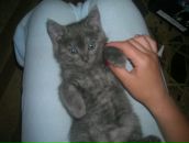 Сніжана Перцак фотография #14 (источник - https://vk.com/id16477798)