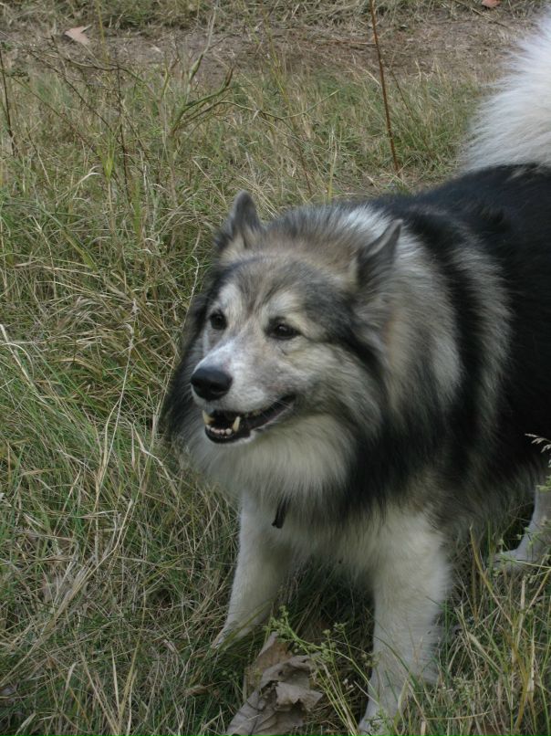 Надежда Басараб фотография #37