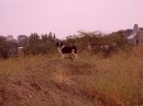 Иван Саенко фотография #8 (источник - https://vk.com/id66197741)