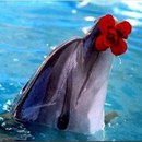 Анастасія Мазур фотография #25 (источник - https://vk.com/id160674154)