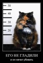 Фотография Панкратова Кирилла