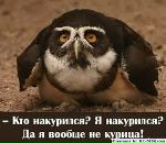 Юрій Луцюк фотография #7 (источник - https://vk.com/id9910759)