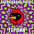 Иван Ронжин фотография #33 (источник - https://vk.com/id323863)