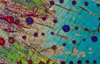 Фотография Пальмина Ирина