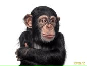 Фотография Ососовой Танюши