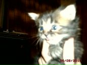 Фотография Слетовой Юлии