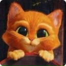 Aloe Vera фотография #8 (источник - https://vk.com/id166310459)