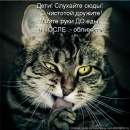 Володимир Печихвіст фотография #3 (источник - https://vk.com/id69069645)