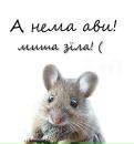 Инна Яковійчук фотография #31 (источник - https://vk.com/id133862188)