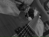 Фотография Свантесона Дениса