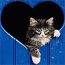 Максім Рипаленко фотография #3 (источник - https://vk.com/id62382074)