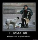 Ольга Вередін фотография #15 (источник - https://vk.com/id120300412)