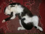 Фотография Чудиновой Наташи