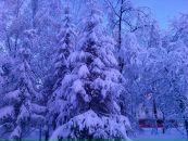 Фотография Мясниковой Натальи