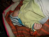 Фотография Развозова Людмила