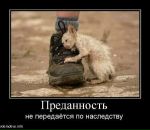 Anna Çınar фотография #26 (источник - https://vk.com/id14469793)