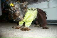 Фотография Китова Александра