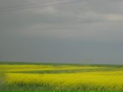 Ян Камінський фотография #1