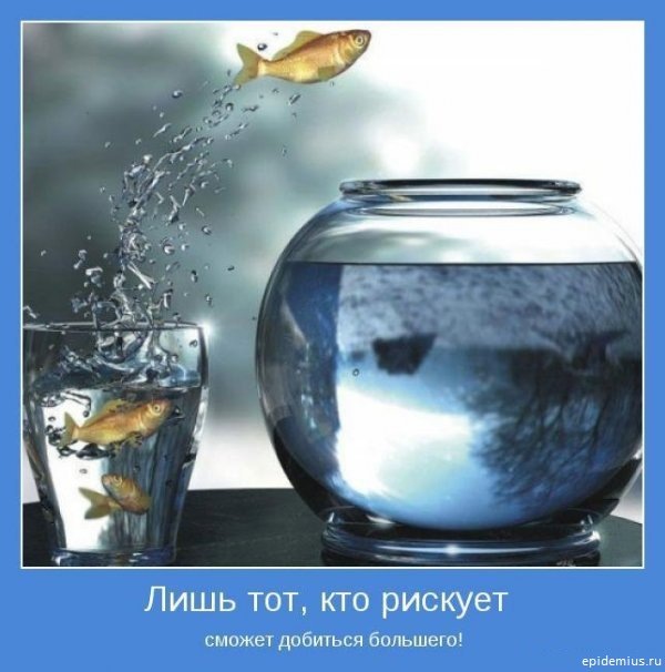 Vadim Tim фотография #22