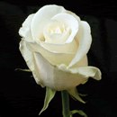 Κсения Βласова фотография #29 (источник - https://vk.com/id166448391)