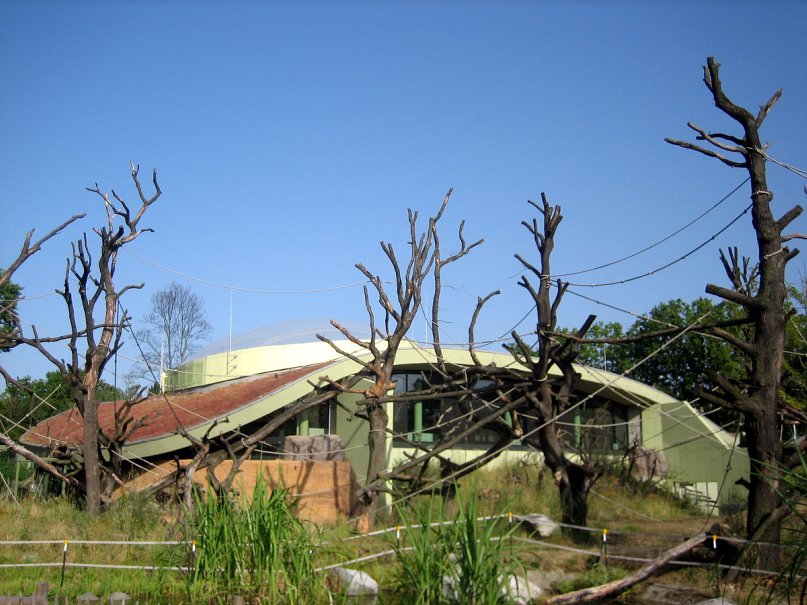 Дмитрий Попов фотография #46